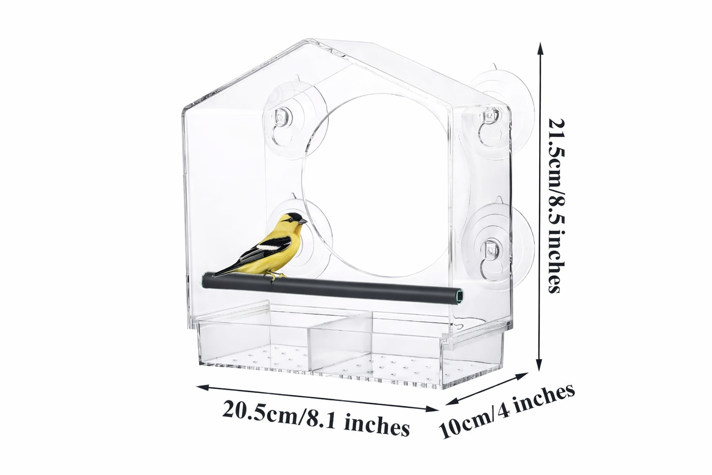 Window bird feeder