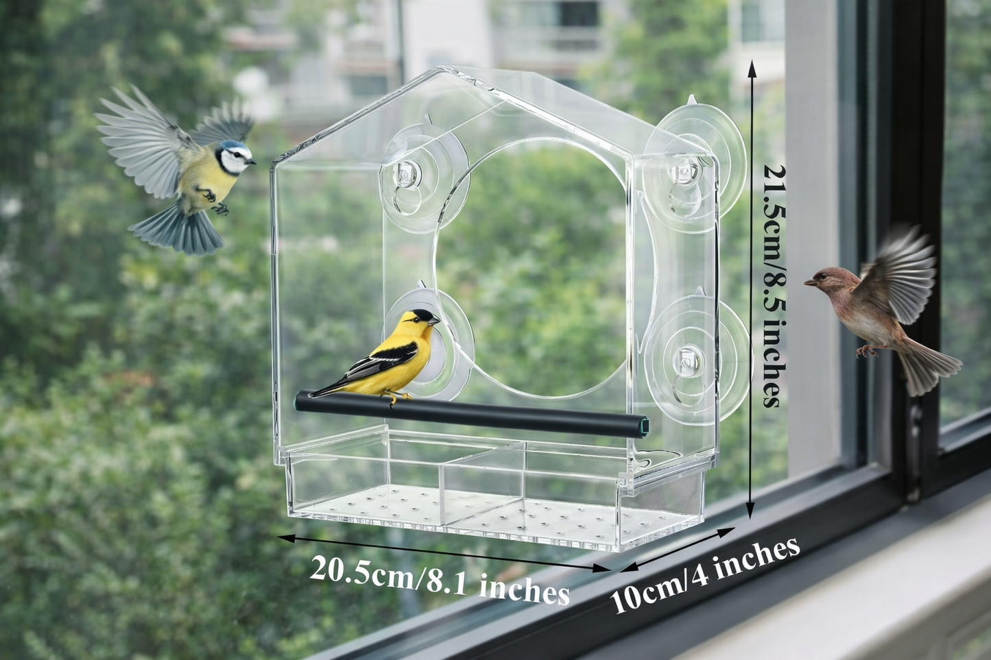 Window bird feeder